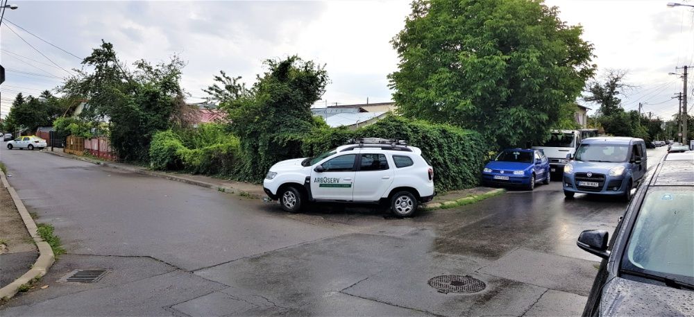 Cosire defrisare iarba arbusti rugi ambrozie mecanizat sau manual