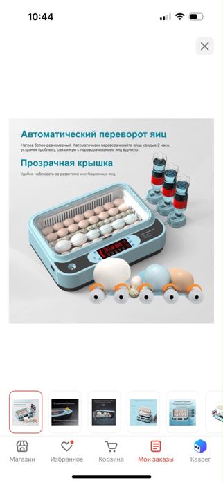 Бизон инкубатор, вместимость: 40 шт