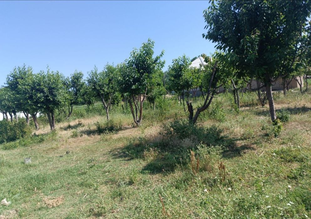 Йер участкаси сотилади