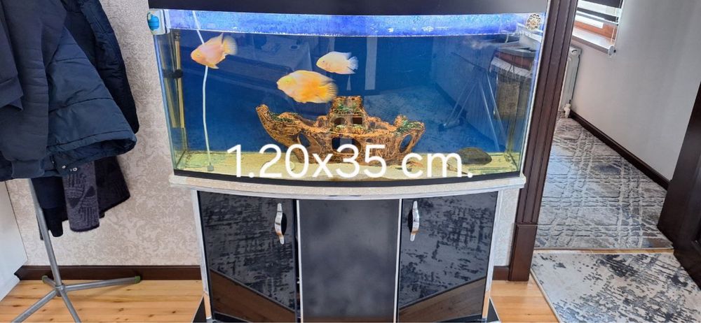 Akvarium sotiladi 250 l barcha aksesuarlari baliqlari bn