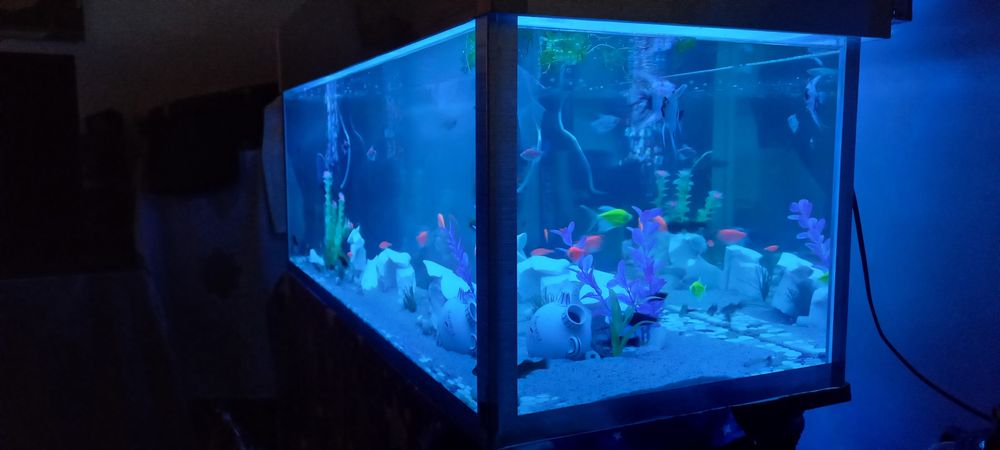 Аквариум на заказ. Заказга Аквариум ясиман телефон килила нархини кели