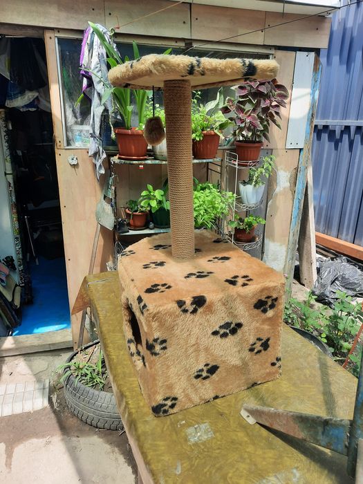 Продам домик для Кошки