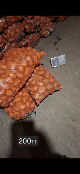 Продам домашний картофель