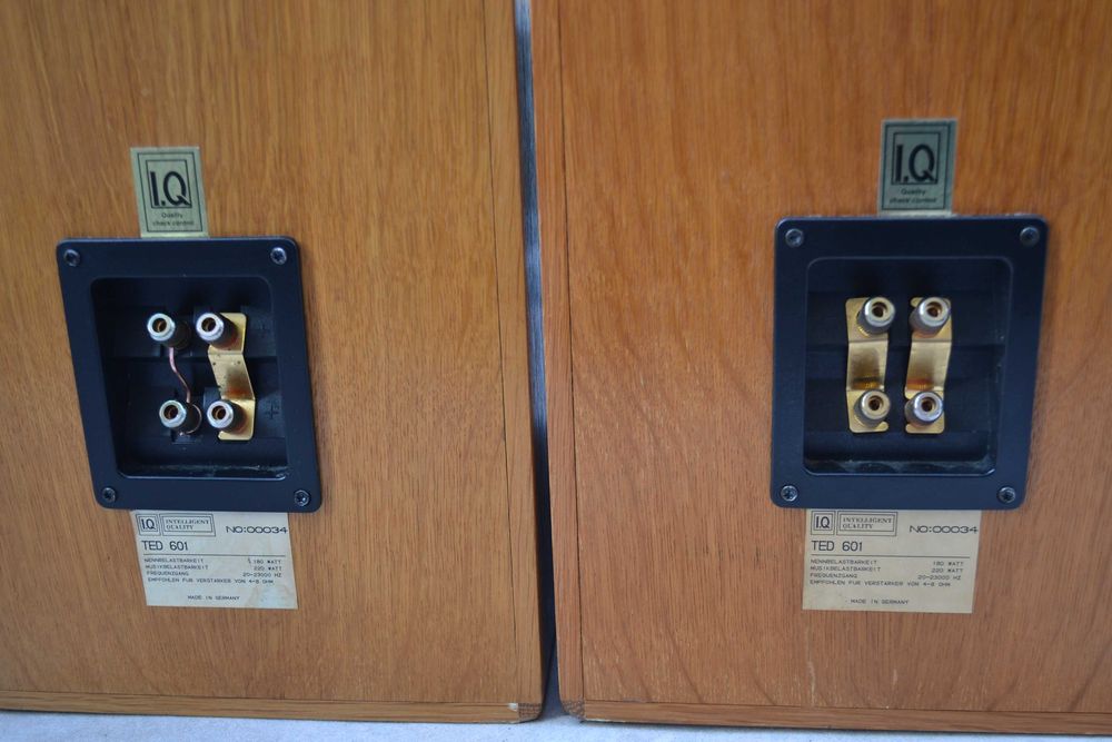 Boxe IQ model TED 601 HiEnd