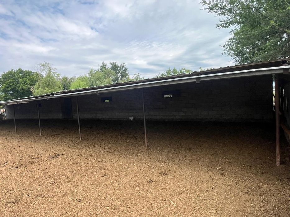 продам   дом  фазенда.