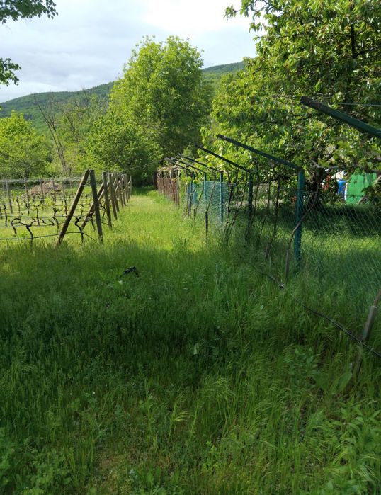 Продава се Къща в с. Горановци, Област Велико Търново - 80 кв.м за 574 €/кв.м - Снимка #5
