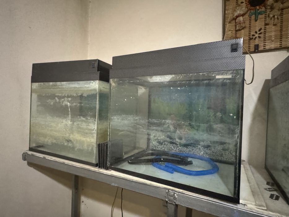 Аквариумы самовывоз