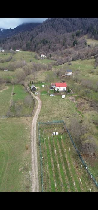 Teren Zărnești, Brașov – 3 loturi (618-716-629 mp) – vedere Piatra Craiului & Bucegi