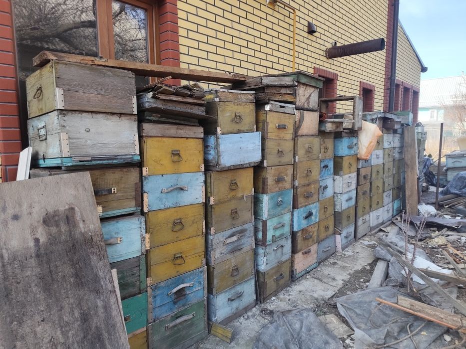 Улья с рамками руты