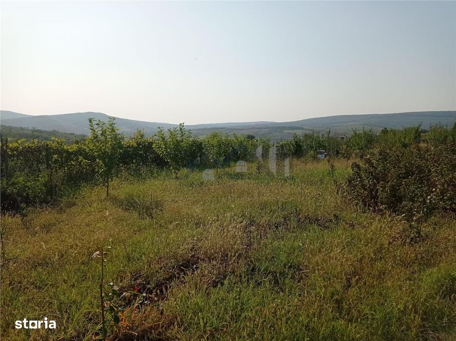 Intravilan - Tomesti - Teren si Cabana din Lemn