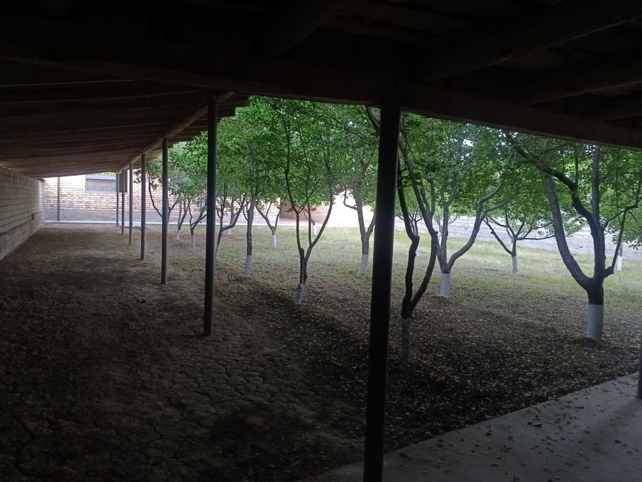 Uchastka sotiladi srochna