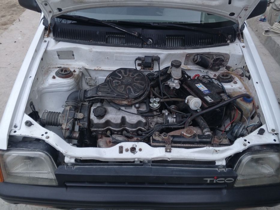 Tico xolati alo darajada