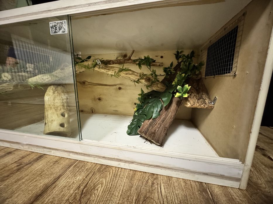 Vand terariu sarpe soparla gecko