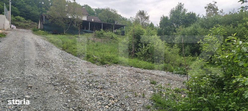 Teren intravilan de vanzare - 813 mp – Valea Jelnei