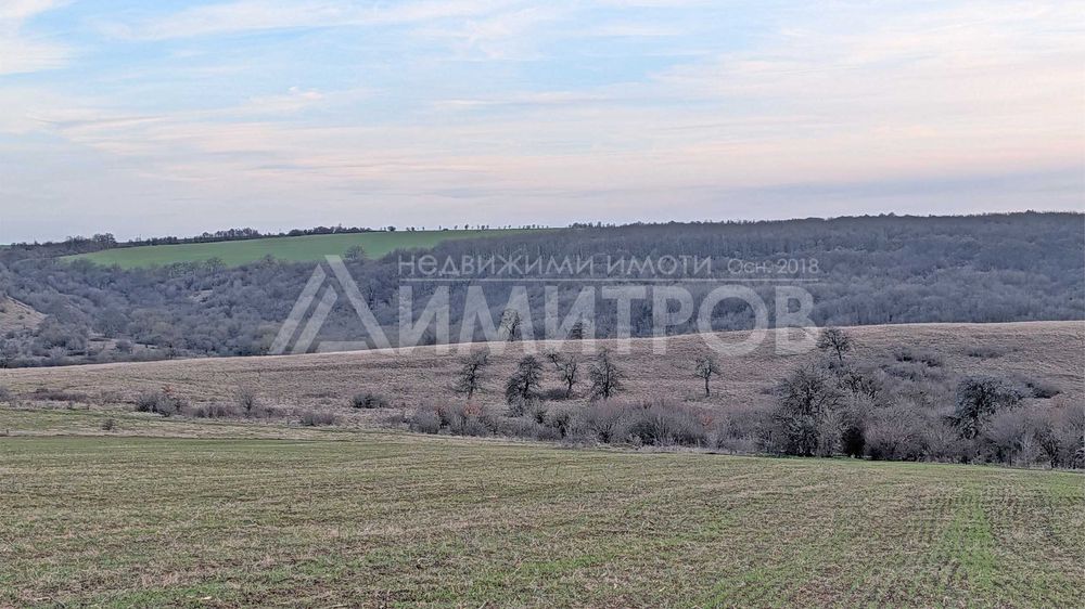 Продава парцел 5 дка в регулация между селата Мировци и Писарево.