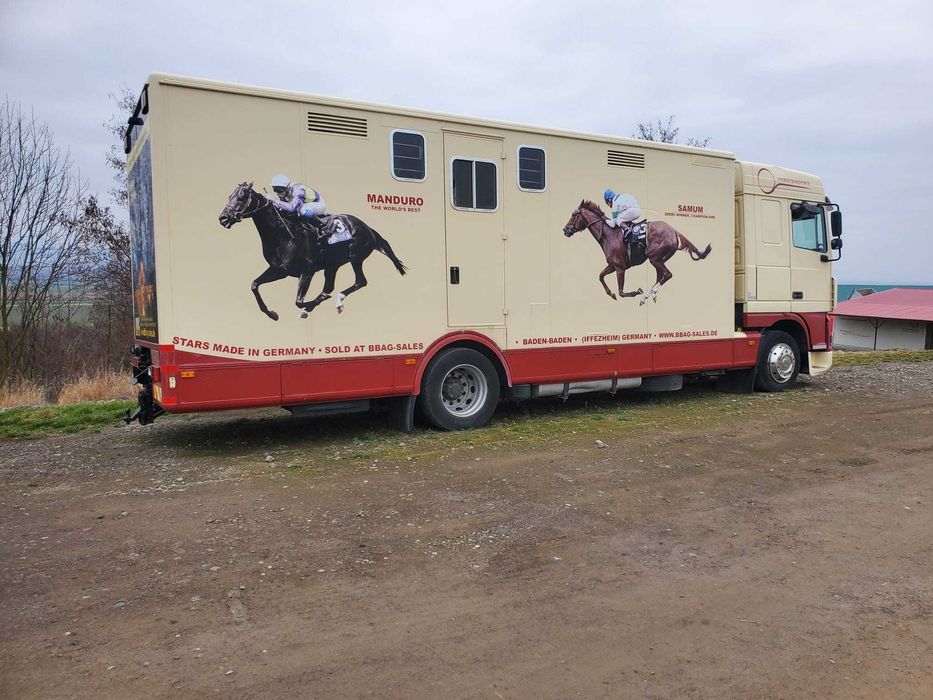 DAF AF95XF  transport cai
