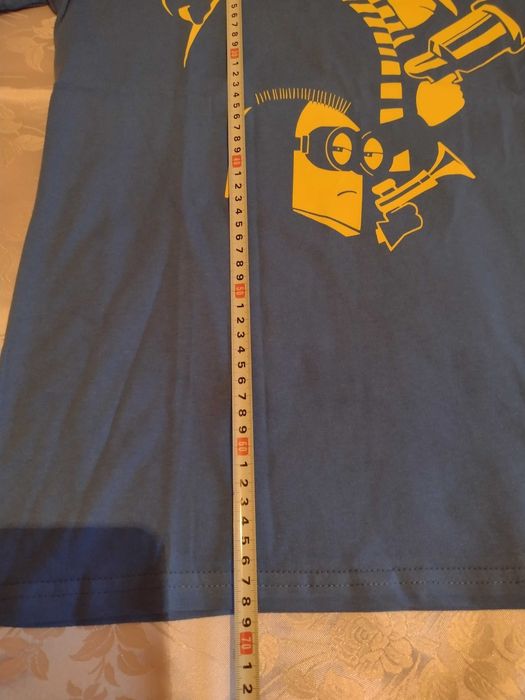 За фенове на "Аз, Проклетникът" и Миньоните