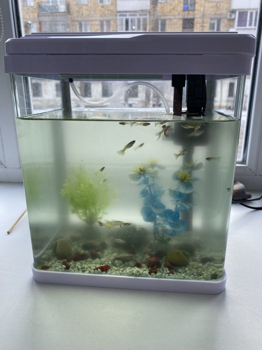 Продам аквариум