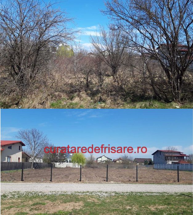 Curatare teren, cosire, defrisare, tocare vegetatie crengi, erbicidare