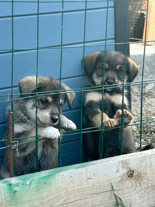 Мальчик и девочка