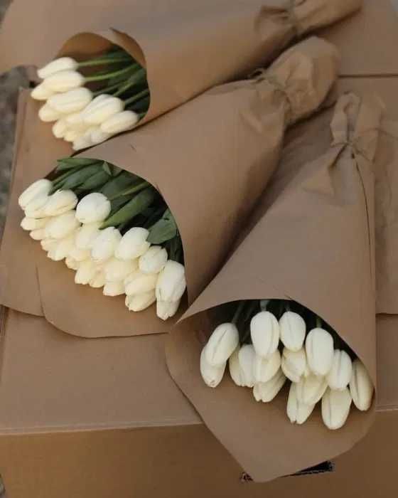 Тюльпаны оптом от 30 шт