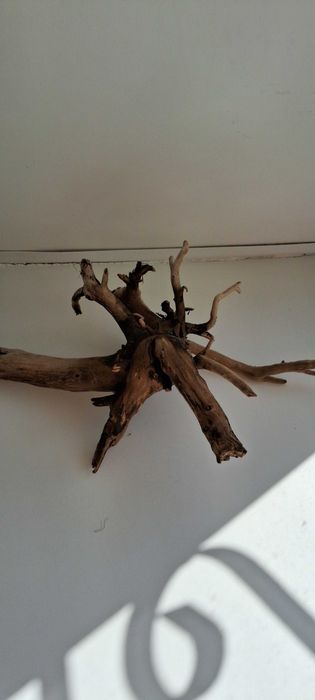 Коряга в аквариум