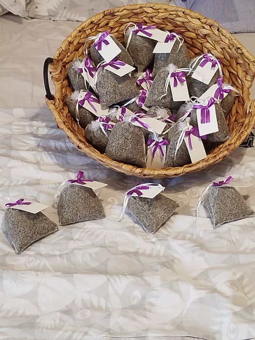 Saculeti lavanda