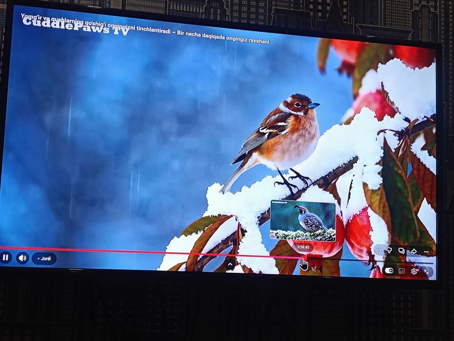 Телевизор Артел самсунг 50 тали смарт емас ишлаб зор ишлатиб турган те