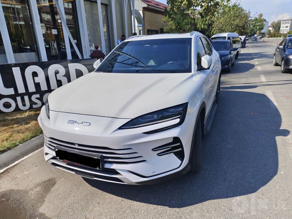 Byd champion hybrid 2024