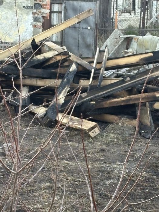 Бесплатно ! Срочно сегодня