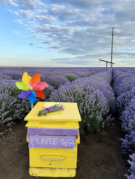 БИО МЕД от ЛАВАНДУЛА , лавандулов мед