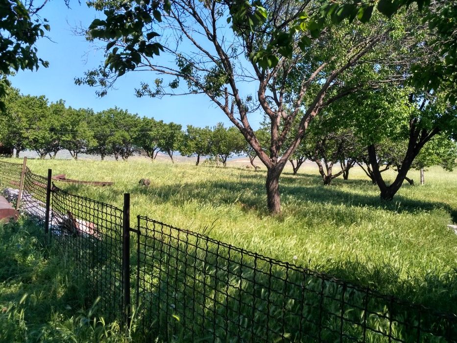 Продается ферма своя