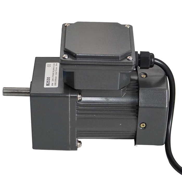 Motor pentru protap 30w