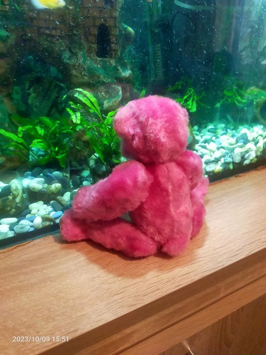 Прикольная милашка мишутка