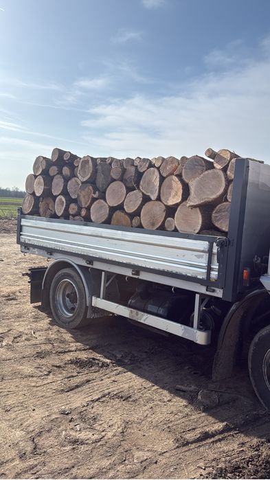 Lemne de foc esenta tare