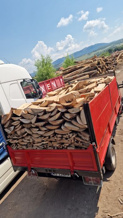 Lemne lemn de foc esență tare gata tăiate