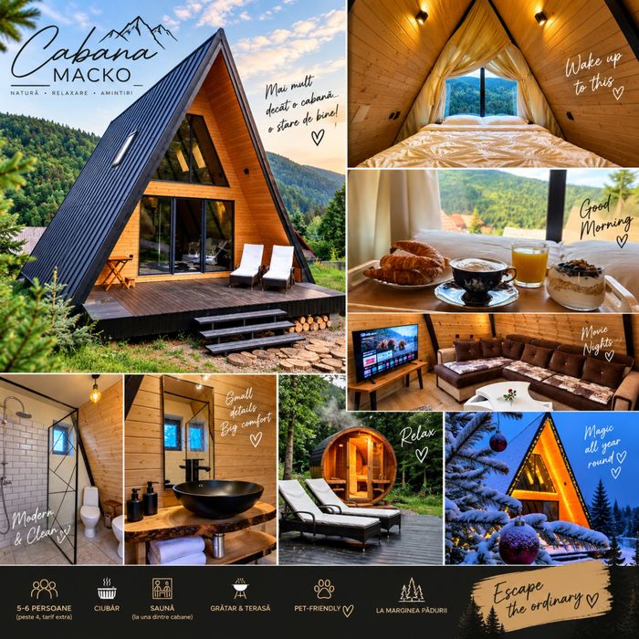 Cabana A-Frame | Ciubar + Sauna | Pet Friendly | Privata | 2–6 pers