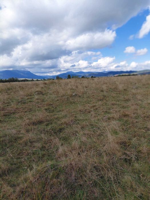 Teren extravilan – 1 ha – Glăjerie, Râșnov, Jud. Brașov