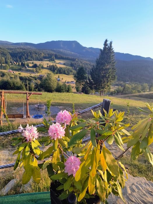 Căsuțele cu Tihnă -Colibita.Evadare în natură