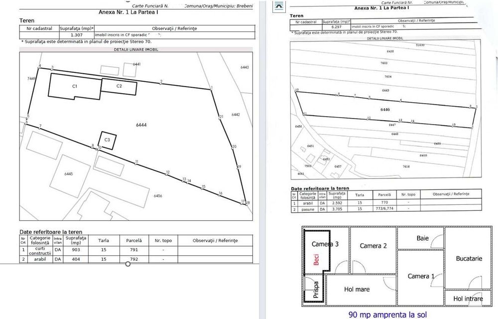 Casa + Teren Brebeni - 8000 metri patrati - 10 minute de Slatina