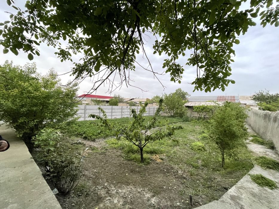 Uy sotiladi Plem Savxoz 16 sotok