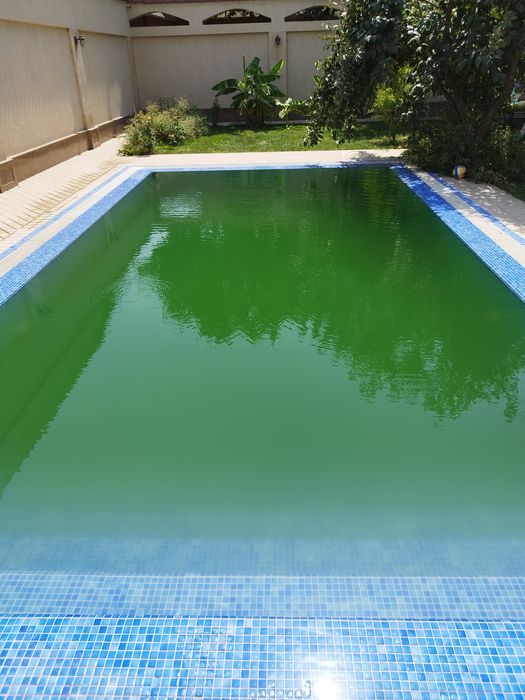 Бассейн тозалаш хизмати