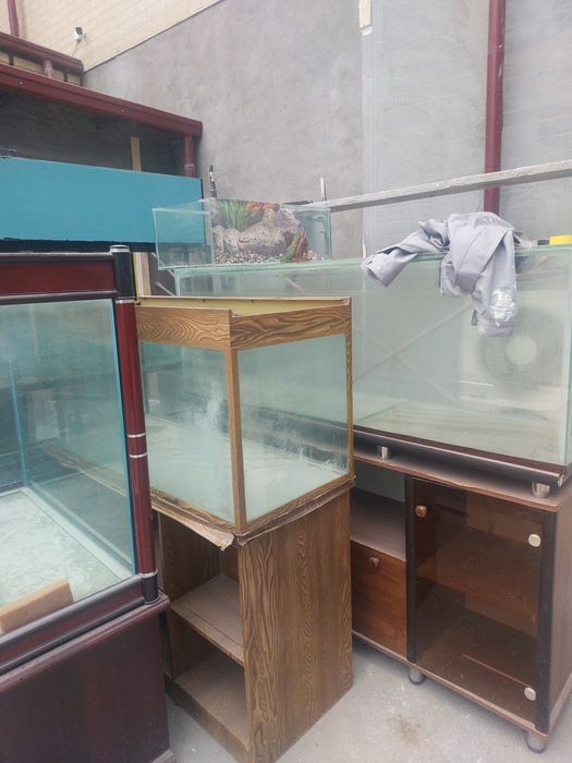 Akvarum sotlad hammas bla