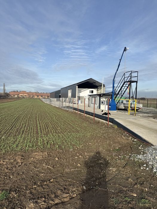 Vindem Porumb , Grau , Orz , Furaje , Concentrate