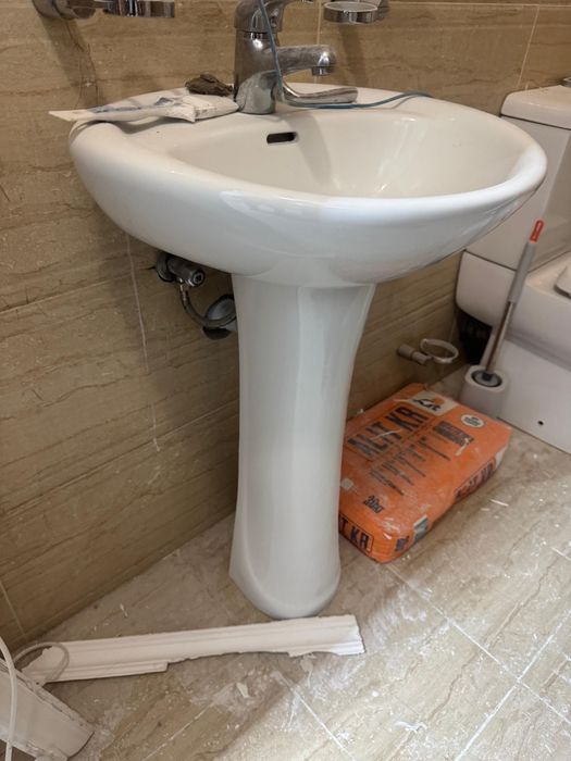 раковина тюльпан