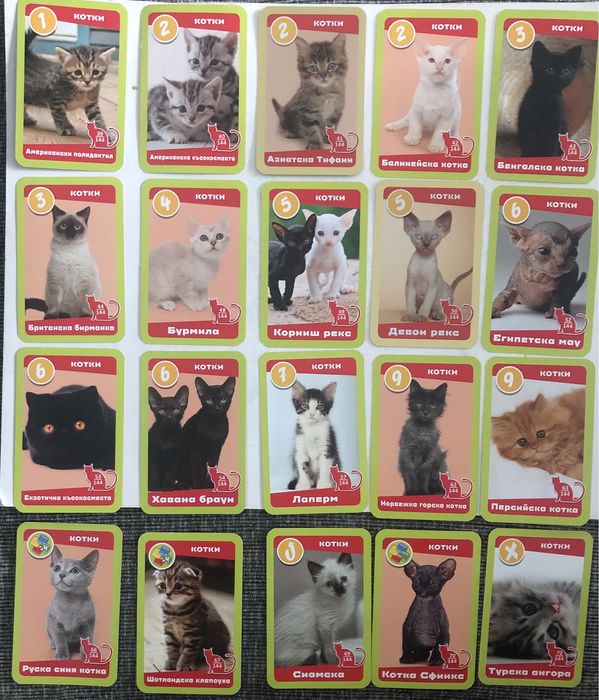 Карти Любими мъничета