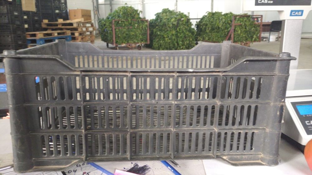 Пластмасовые ящики от мандаринов