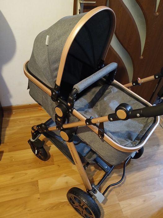 Landou nou folosit o zi în casă
