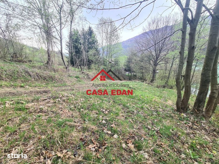 Teren intravilan in Valea Doftanei - Parajul Paltinu--1000 mp--120e