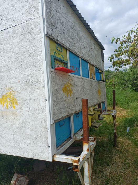 Modul apicol pentru 24 stupi cu cat